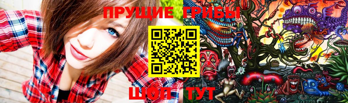 Дятьково  Галлюциногенные грибы Psilocybine cubensis  Вход с VPN 