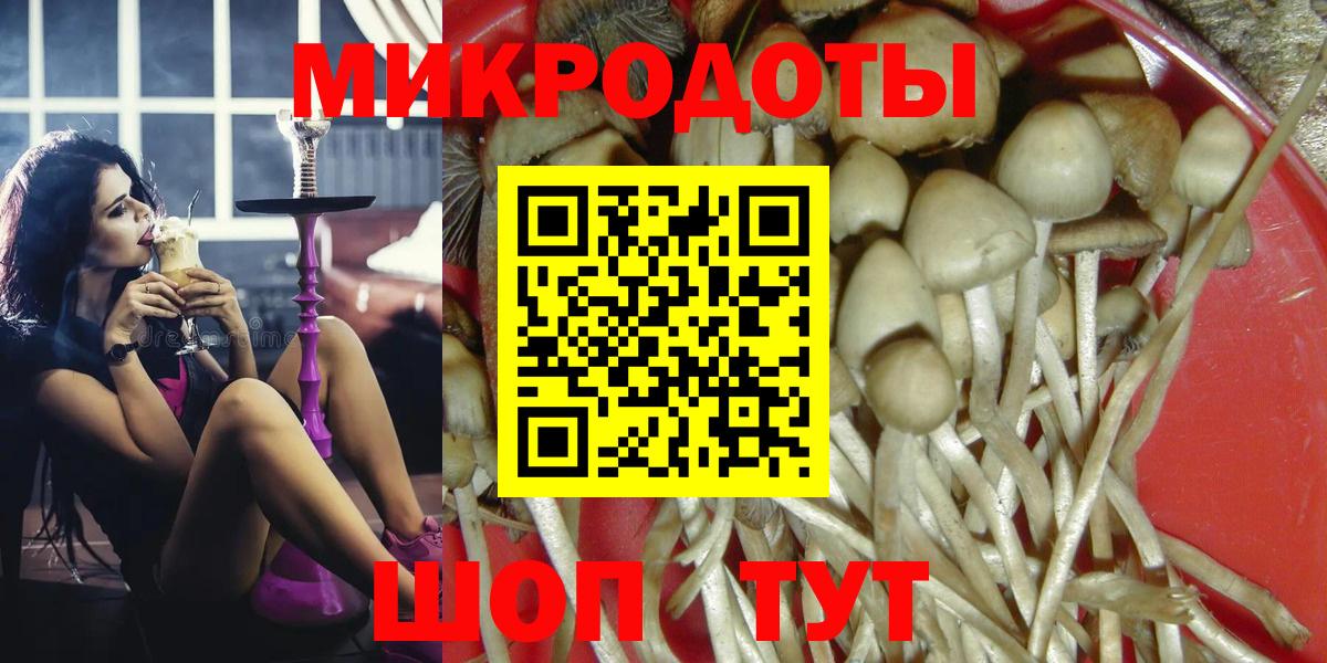 Галлюциногенные грибы Magic Shrooms Дятьково