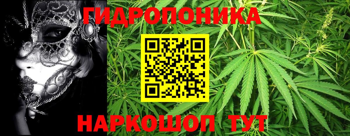 Бошки марихуана сатива Дятьково